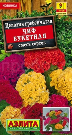 Целозия гребенчатая Чиф букетная, смесь сортов 10шт 