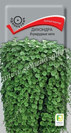 Дихондра Изумрудные нити 5шт