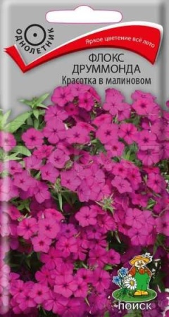 Флокс друммонда Красотка в малиновом 0,1г