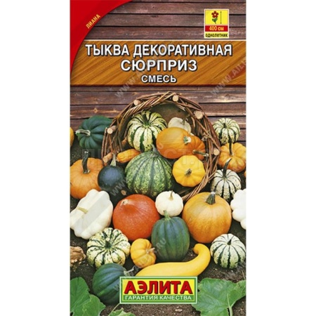 Тыква декоративная Сюрприз смесь 1г