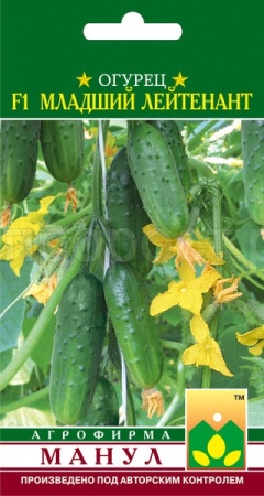 Огурец Младший лейтенант F1 10 шт