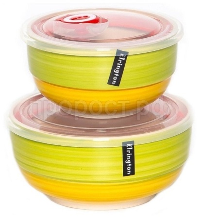 Набор салатников (2шт) с крышками 139-23113  Набор салатников (2шт) с крышками 139-23113