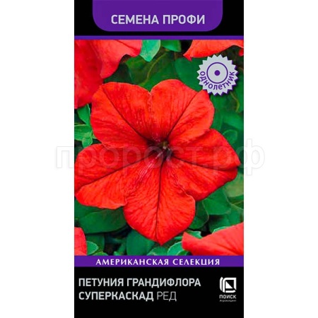 Петуния грандифлора Суперкаскад Ред 10шт