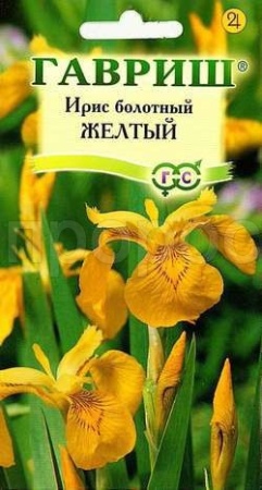 Ирис Болотный Желтый флаг 3шт 