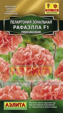 Пеларгония Рафаэлла F1 персиковая 5шт 