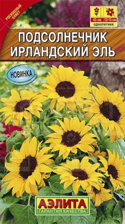 Подсолнечник Ирландский эль