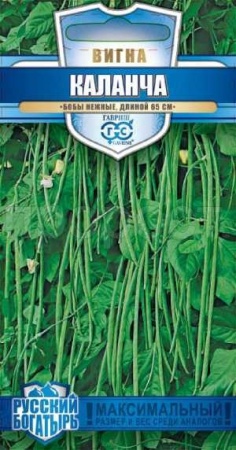 Вигна Каланча 10шт