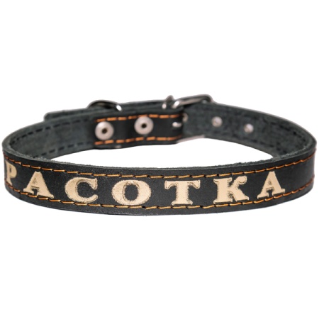 Ошейник кожа 20мм 1слойный прямой с надписью 50-52см/110009