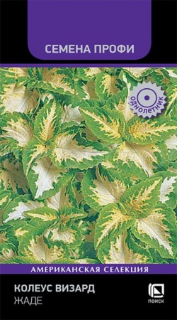Поиск Колеус Визард Жаде 10шт 