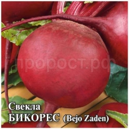 Свекла Бикорес 10,0 г