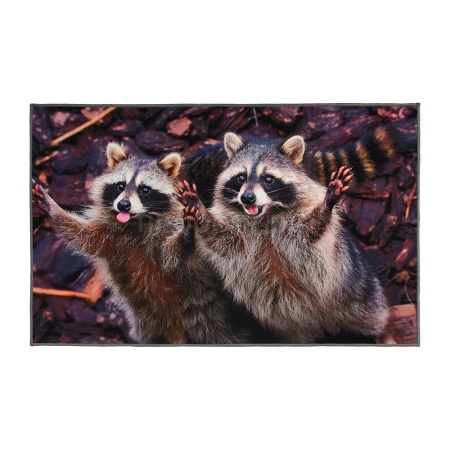 Коврик придверный 50*80см Velur "Веселые еноты" влаговпитывающий Коврик придверный 50*80см Velur "Веселые еноты" влаговпитывающий