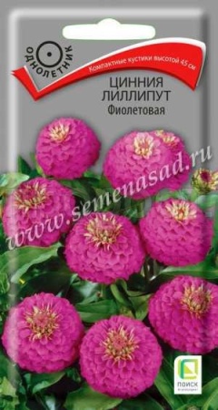 Цинния лилипут Фиолетовая 0,4г