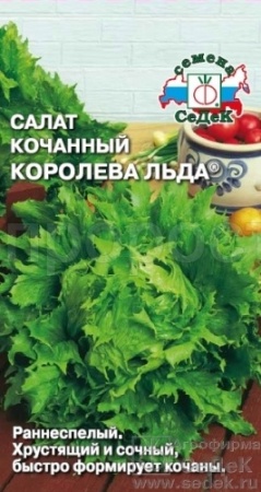 Салат Королева льда кочанный 0,5г 