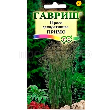 Гавриш Просо декоративное Колоритное фиолетовое 15 0,5 г 