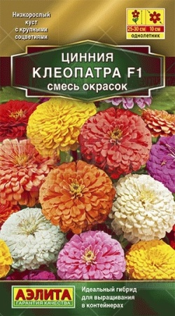 Цинния Клеопатра F1 смесь 12шт