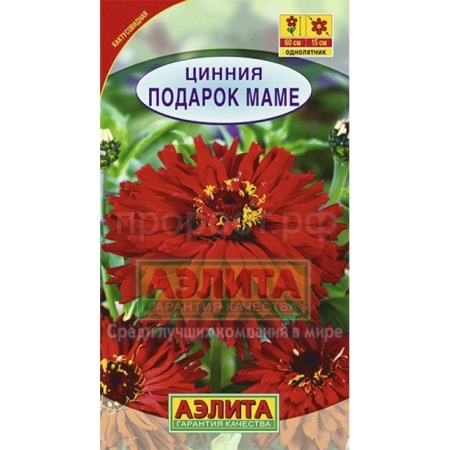 Цинния Подарок маме 