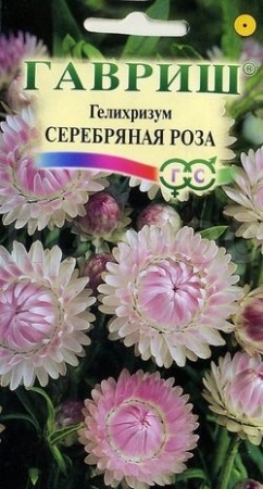 Гелихризум Серебряная роза 0,01г 