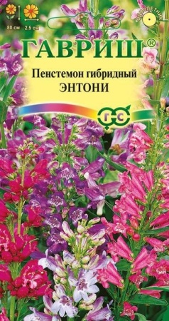 Пенстемон гибрид. Энтони смесь 0,1г