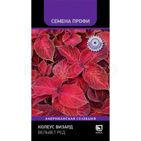 Поиск Колеус Визард Вельвет ред 10шт 
