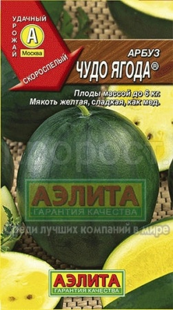 Арбуз Чудо-ягода 