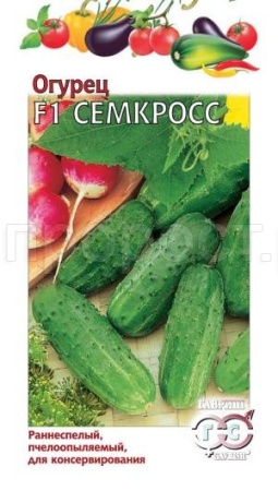 Огурец Семкросс F1 10шт