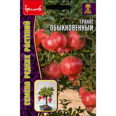 Редкие растения Гранат Обыкновенный 10шт 