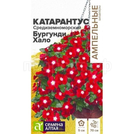 Катарантус Средиземноморский Бургунди Хало 5шт