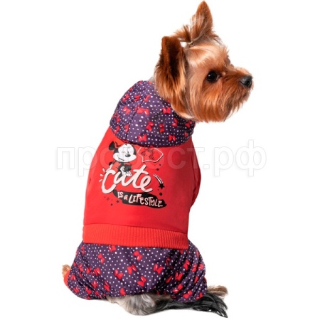 Комбинезон-дождевик демисезонный Disney Minnie Cute 35см L/12251217/Триол